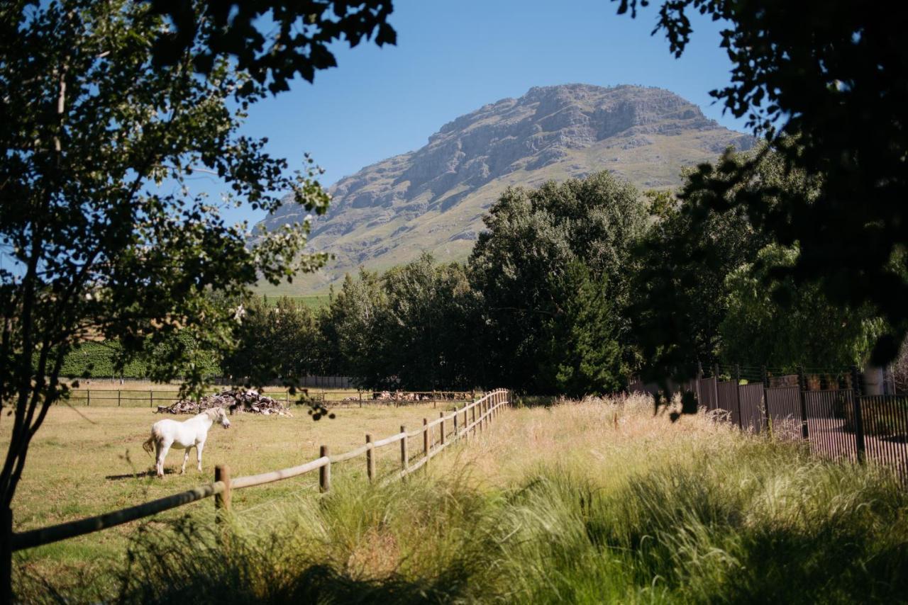 Simonzicht Guest House Stellenbosch Exteriör bild
