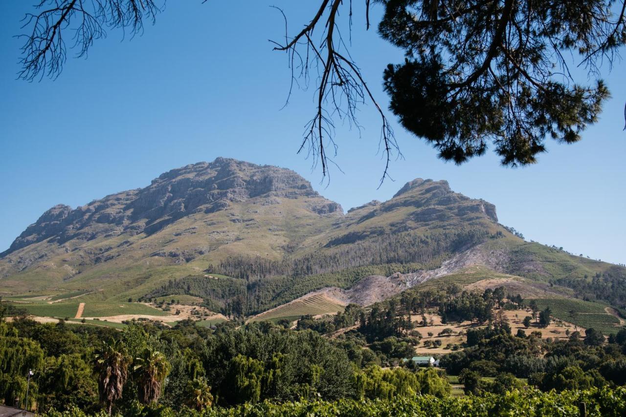 Simonzicht Guest House Stellenbosch Exteriör bild